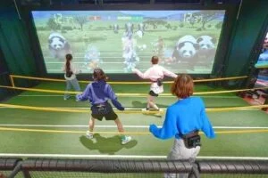 VS PARK ららぽーとEXPOCITY店