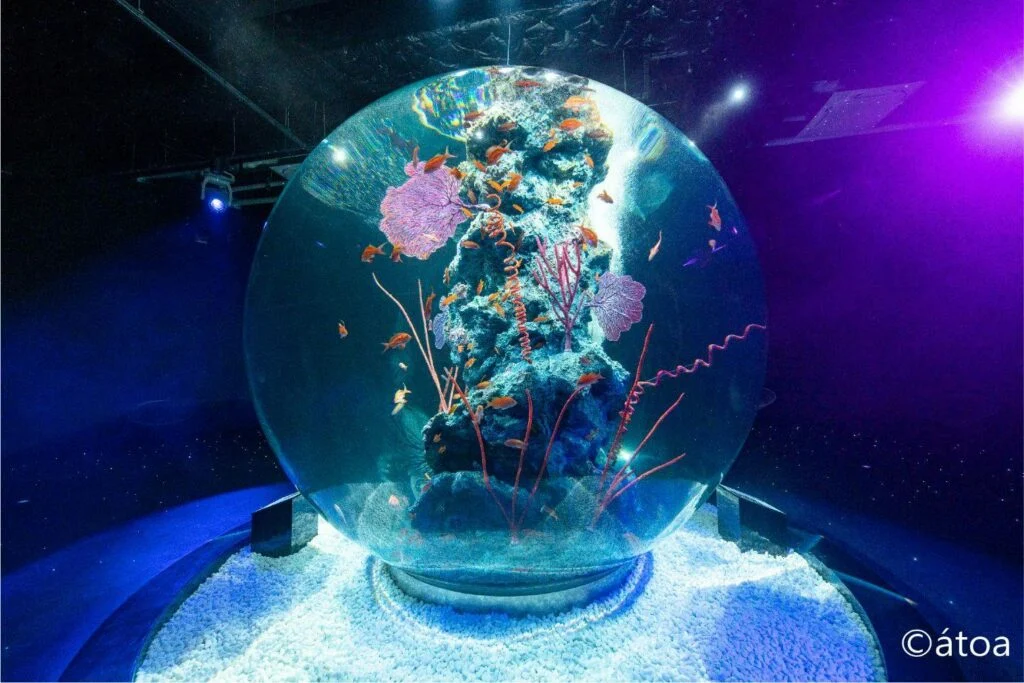 神戸港のatoaで、アートと水族館が融合した空間に浸る