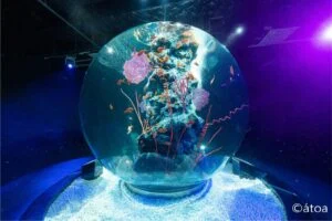 AQUARIUM × ART atoa