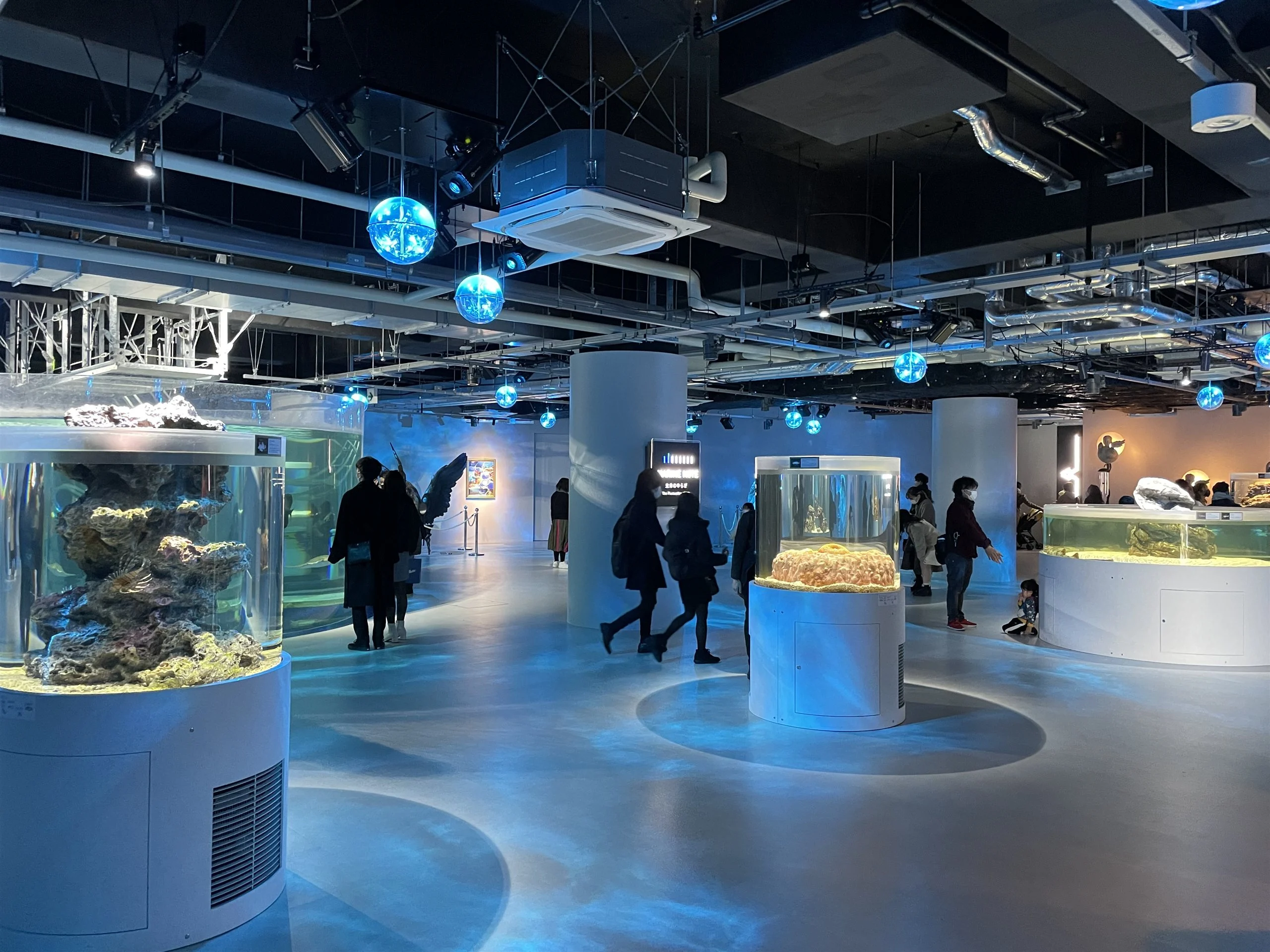 AQUARIUM u00d7 ART atoa
