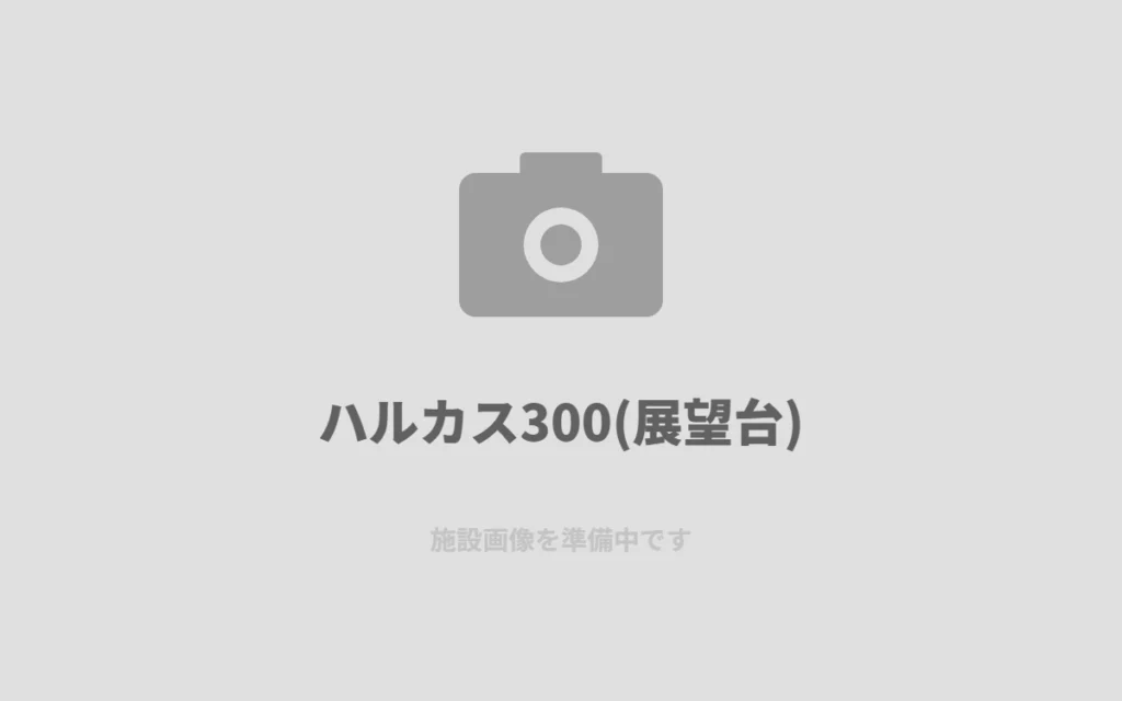 あべのハルカス300から見た、夕暮れの大阪平野