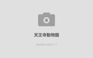 u5929u738bu5bfau52d5u7269u5712