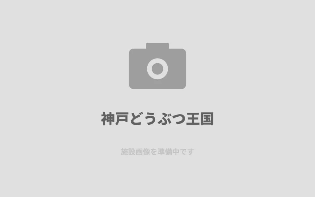 神戸どうぶつ王国で、動物たちとの距離の近さに驚いた日