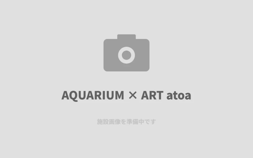 神戸港のatoaで、アートと水族館が融合した空間に浸る