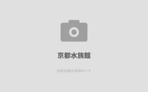 u4eacu90fdu6c34u65cfu9928